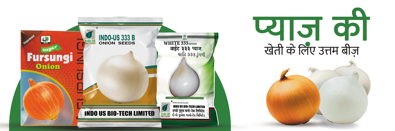 onion-21-(1)
