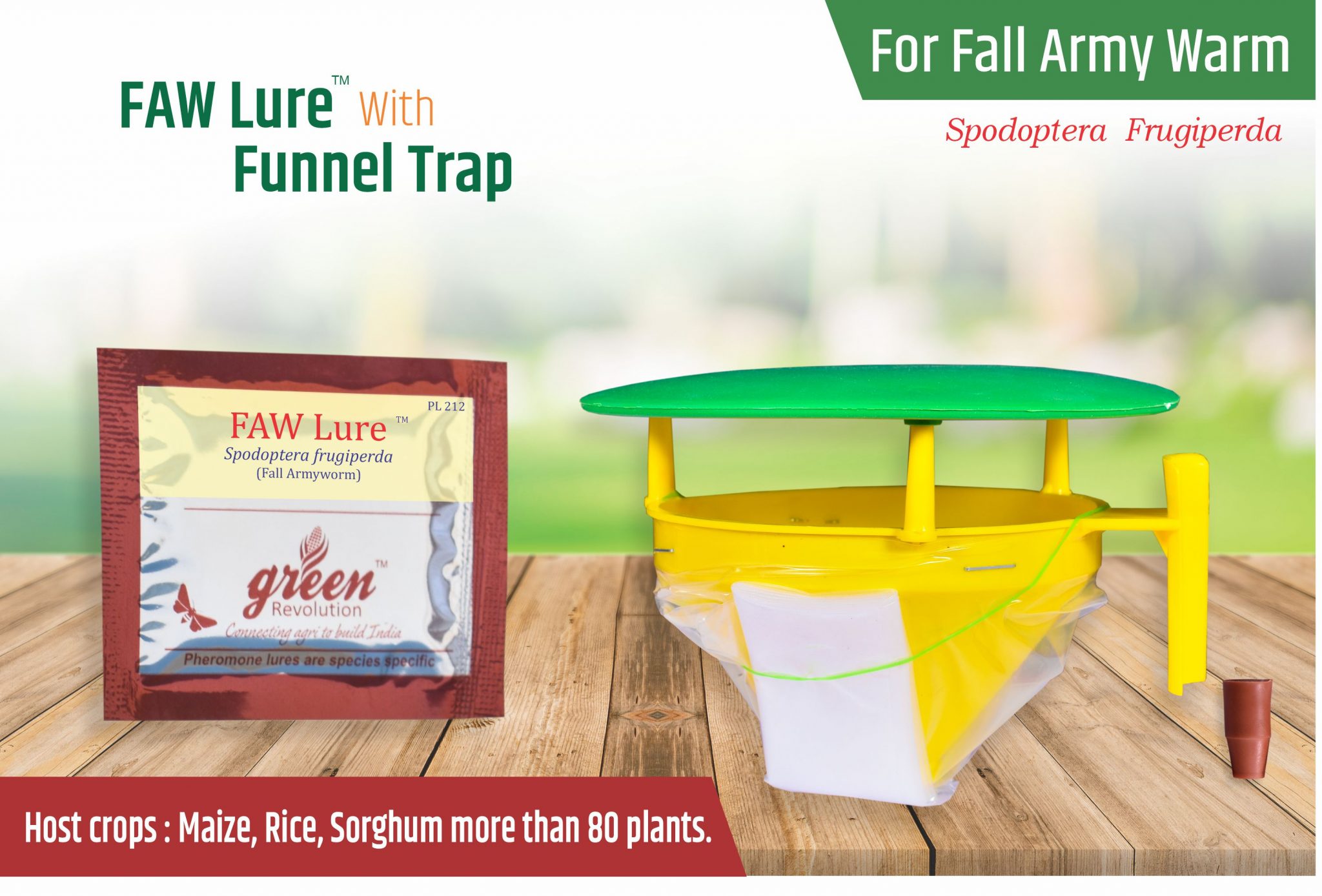 FAW Lure (Fall Armyworm) / Spodoptera Frugiperda Pheromone Lure( pack