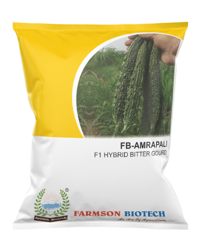 FB-AMARAPALI F1 HYBRID BITTER GOURD SEEDS -25 GM