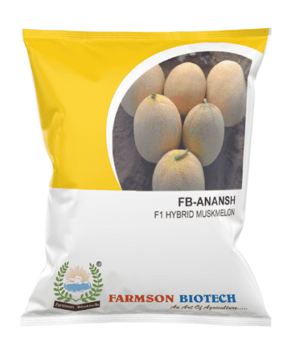 FB- ANANAS F1 Hybrid Muskmelon Seeds - 25 GM