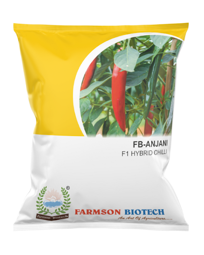 FB-ANJANI F1.HY. CHILI SEEDS -10 GM