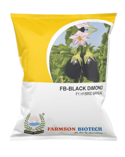 FB- BLACK DIMOND F1 HYBRID BRINJAL (EGGPLANT) SEEDS -10GM