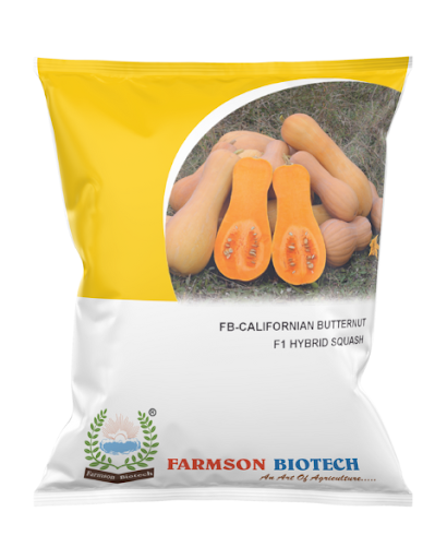 FB-CALIFORNIAN BUTTERNUT F1 HYBRID SQUASH SEEDS -25 GM