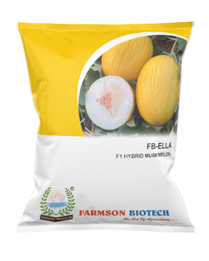 FB-ELLA F1 Hy MUSKMELON SEEDS -25 GM