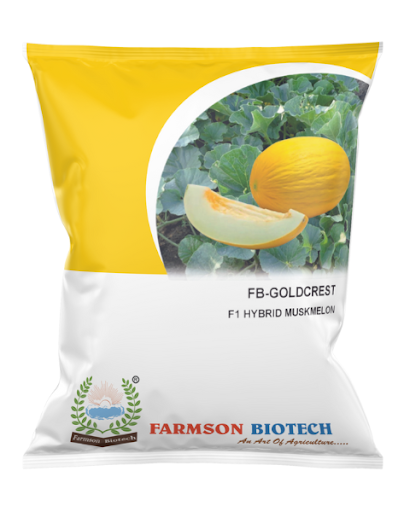FB-GOLDCREST F1 HY. MUSKMELON SEEDS -25 GM