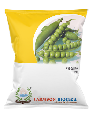 FB-GRIVA (GS-10) PEAS SEEDS -500 GM
