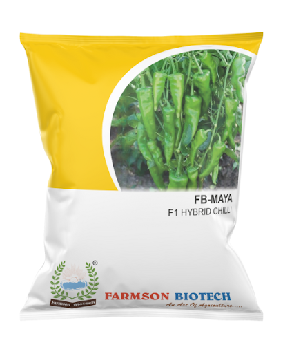 FB-MAYA F1.HY. CHILI SEEDS-10 GM