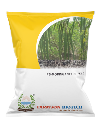 FB-PKM 2 DRUM STICK (MORINGA) SEEDS - 250 GM