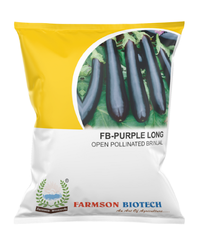 FB-PURPLE LONG (OPV) BRINJAL (EGGPLANT) SEEDS -50 GM