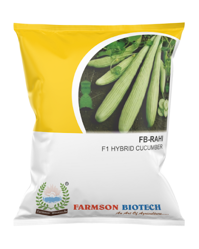 FB-RAHI F1 HYBRID CUCUMBER SEEDS -25 GM