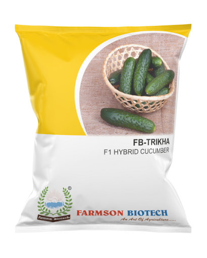 FB-TRIKHA F1 HYBRID GHERKIN SEEDS -25 GM