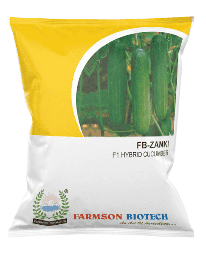 FB-ZANKI F1 HYBRID CUCUMBER SEEDS -25 GM
