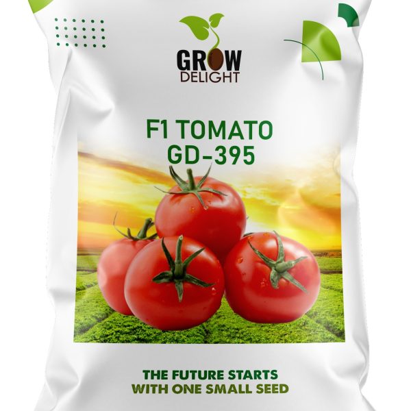 Grow Delight F1 Tomato GD-395