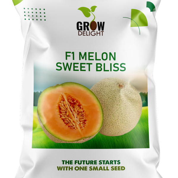 Grow Delight F1 Melon Sweet Bliss