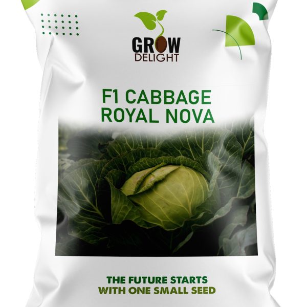 Grow Delight F1 Cabbage Royal Nova
