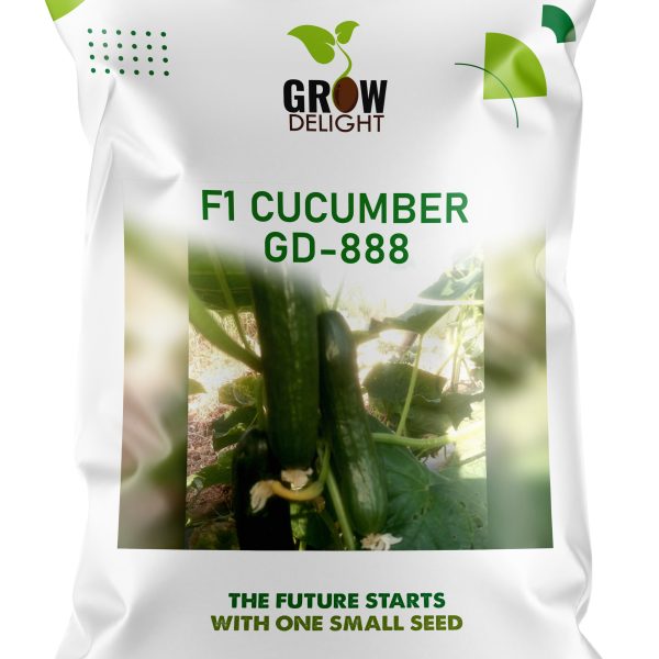 Grow Delight F1 Cucumber GD-888