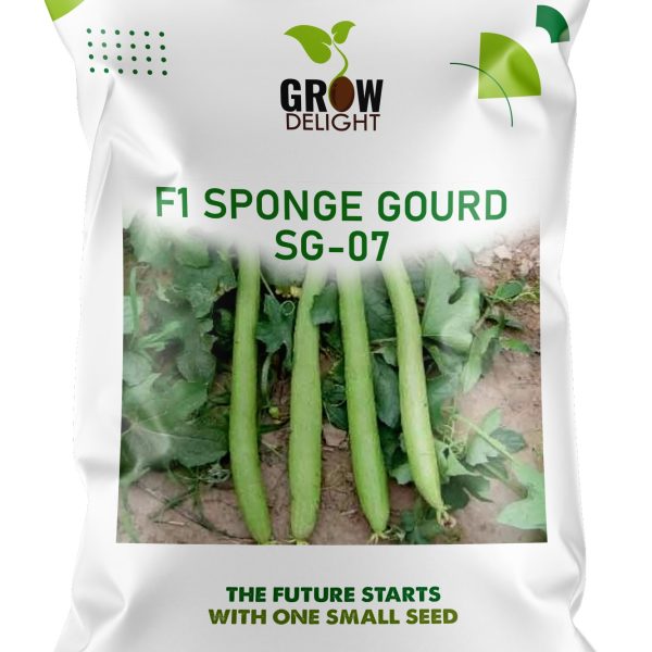 Grow Delight F1 Sponge Gourd SG-07