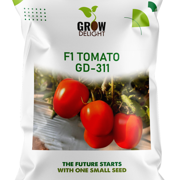 Grow Delight F1 Tomato GD-311