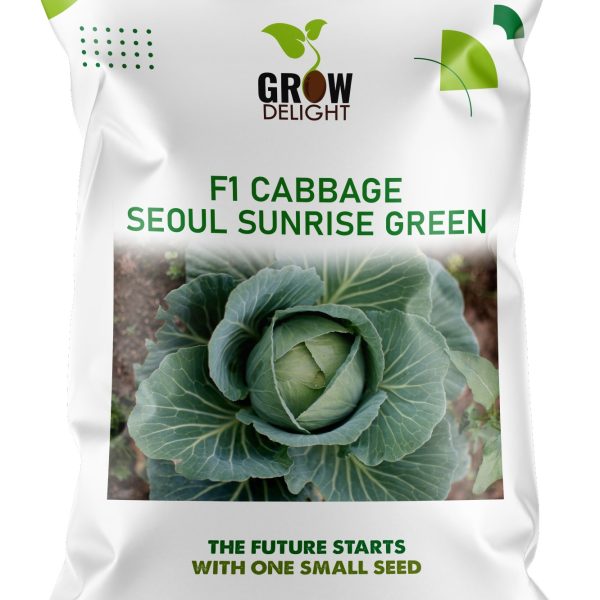 Grow Delight F1 Cabbage Seoul Sunrise Green