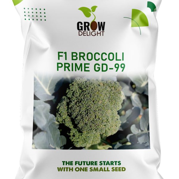 Grow Delight F1 Broccoli Prime GD-99
