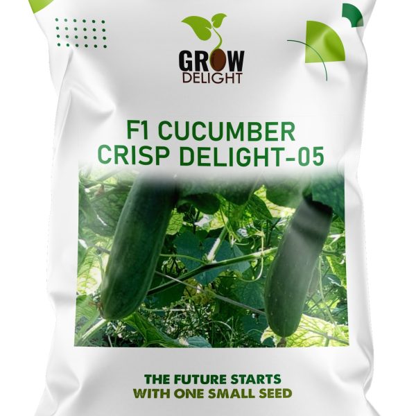 Grow Delight F1 Cucumber Crisp Delight-05