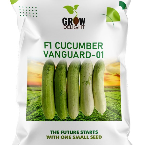 Grow Delight F1 Cucumber Vanguard-01