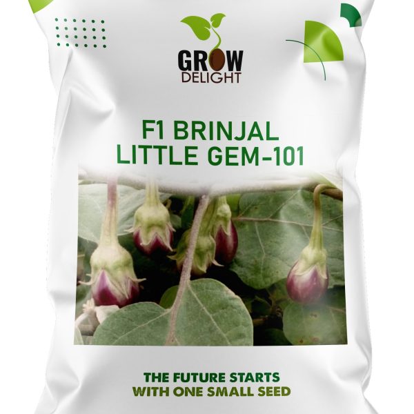 Grow Delight F1 Brinjal Little Gem-101