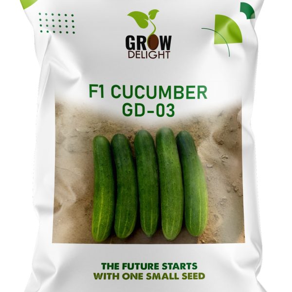 Grow Delight F1 Cucumber GD-03