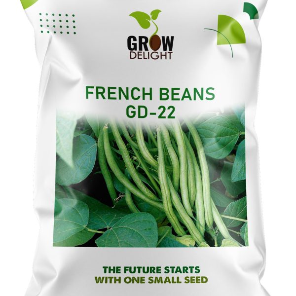 Grow Delight French Beans GD-22
