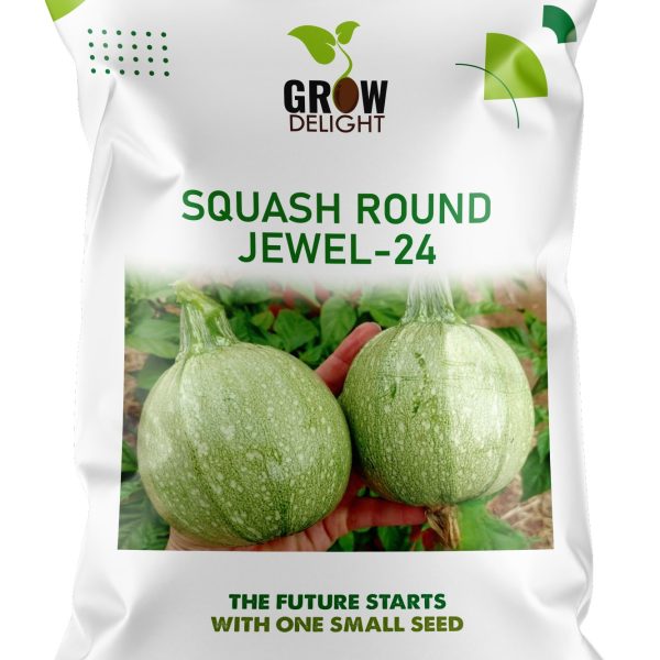 Grow Delight Imported Squash Round Jewel-24