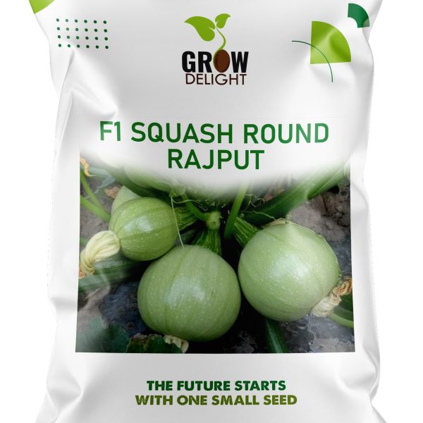 Grow Delight F1 Squash Round Rajput
