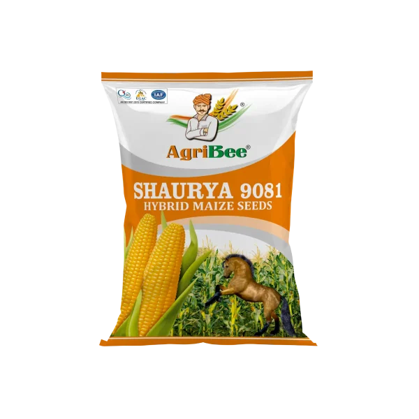 AgriBee Hybrid Maize Seeds Shaurya 9081